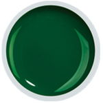 COVER COLOR GEL FSM 055 - CC-055 - Everin.ro, FSM