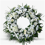 Coroana funerara cu hortensia alba si gerbera Coroana funerara cu hortensia alba, Floria