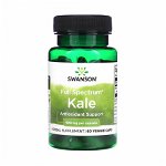 Full Spectrum Kale (Varza Creata), 400 mg, Swanson, 60 capsule SW1401
