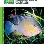 Aquarium Care of Cichlids (Animal Planet Pet Care Library)