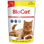 Bio Cat Plic Pui & Curcan In Sos, 100 g, Biocat