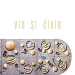 Vin si divin - Jean-Robert Pitte