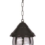 Lustra de exterior BFE 1 Outdoor Chandelier, Negru, 20x50x20 cm, Avonni