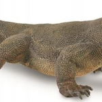 Figurină Collecta KOMODO FIGURE - CollectA - 88900 - L, Collecta