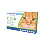 Stronghold Plus Pisica 60 mg 5-10 kg 1 pipeta, 