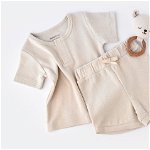 Set tricou cu panataloni scurti - 100% bumbac organic - stone, baby cosy (marime: 12-18 luni), BabyJem