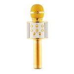Microfon karaoke fara fir WS-858, acumulator incorporat