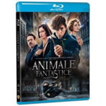 Animale Fantastice si unde le poti gasi (Blu Ray Disc) / Fantastic Beast and Where to Find Them
