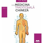 Concepte-cheie din medicina tradițională chineză (vol. I), Ideea Europeană