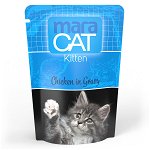 Maracat Complete Kitten with Chicken ingravy, 100g, Maravet Pet