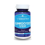 Ginkgo 120 Stem 30cps Herbagetica, 