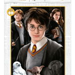 Puzzle 1000 piese - Harry Potter - Miniature - Model 1 | Educa, Educa