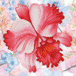 Tablou cu diamante - Orhidee rosie, Jucaresti