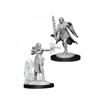 Miniaturi Nepictate D&D Nolzur's Marvelous Multiclass Warlock & Sorcerer (W13), D&D