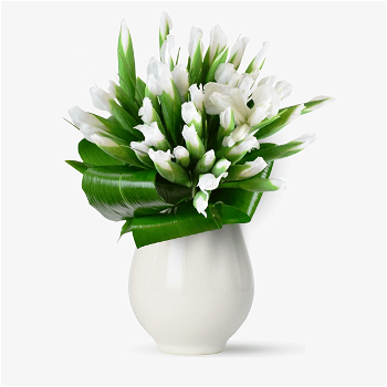 Buchet de 65 irisi albi - Standard, Floria