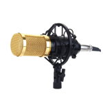 Microfon Profesional BM800 Inregistrare Vocala si Karaoke, GAVE