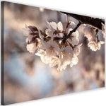 Tablou 'Flowering Cherry', crem, 40 x 60 cm