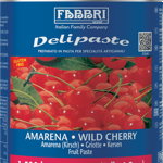 Pasta aromatizanta Amarena Delipaste Fabbri, 1.5 kg