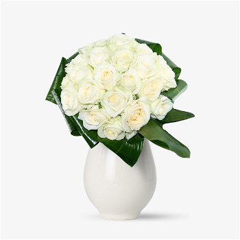 Buchet de 27 trandafiri albi - Standard, Floria