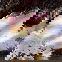 Aragonit roz forma nor m2, druzy.ro - Cristale, Home Deco