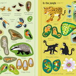 Carte pentru copii, Usborne, Little First Stickers Nature, 3+ ani, Usborne