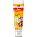 Hairball Remedy pisici, Bio PetActive CatiMalt, 100 ml, Bio Petactive