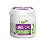 Supliment Nutritiv pentru Pisici Canvit Chondro, 100g, Canvit