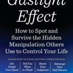 The Gaslight Effect How to Spot and Survive the Hidden Manipulation Others Use to Control Your Life, Robin Stern Author, Robin Stern