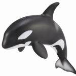 Figurina Pui de Orca M