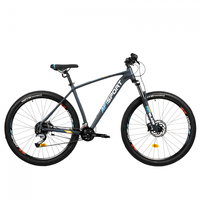 Bicicleta Mtb Afisport M5 - 29 Inch M Gri