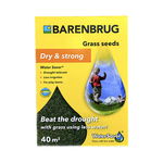 Seminte gazon WaterSaver 1 kg, Barenbrug, Barenbrug 