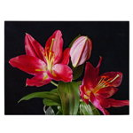 Tablou flori crini rosii - Material produs:: Poster pe hartie FARA RAMA, Dimensiunea:: 80x120 cm, 