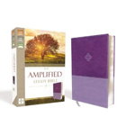 Amplified Study Bible, Imitation Leather, Purple - Zondervan, Zondervan