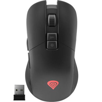 Mouse Zircon 330, Genesis