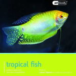 Tropical Fish (Pet Friendly)