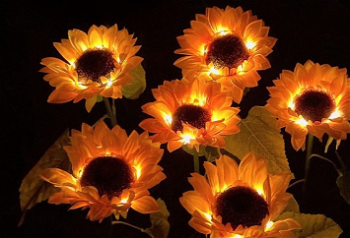 Set 2 lampi solare pentru gradina model floarea soarelui 80cm, 