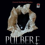 Pulbere neagra - Eugen Ovidiu Chirovici