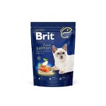 Hrana Uscata Brit Premium by Nature Cat Adult Salmon 800 g, Brit