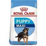 Royal Canin Maxi Puppy 15 Kg Plus Medalion Personalizat CADOU, Royal Canin