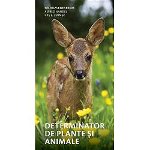 Determinator De Plante Si Animale , Wilhelm Eisenreich, Alfred Handel, Ute E. Zimmer - Editura Casa