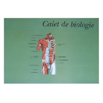Caiet Desen 24 File Foi Veline Format A4 Coperta Policromie cu Design Atractiv Dimensiune 210x297 mm Hartie Velina Caiet