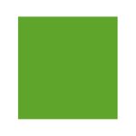 Carton colorat in masa, Fabrisa, diferite culori, 180g/mp, 50x70cm, verde sparanghel intens