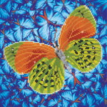 Tablou cu diamante - Fluture verde cu maro, 31 x 31 cm, edituradiana.ro