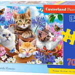 Puzzle 70 piese Kittens with Flowers Castorland 70107