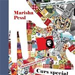 Curs special de fizica dezastrelor - Marisha Pessl