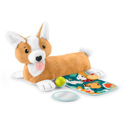 Fisher Price Catelus 3 In 1 Tummy Wedge, Fisher Price