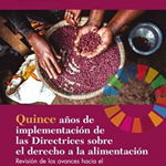 Fifteen Years Implementing the Right to Food Guidelines (Spanish Edition)