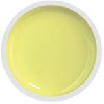 COVER COLOR GEL FSM 064 - CC-064 - Everin.ro, FSM