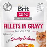 BRIT CARE Plic pentru pisici, File de somon în sos 85g, Brit Care