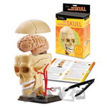 Anatomy: Craniul uman, National Geographic